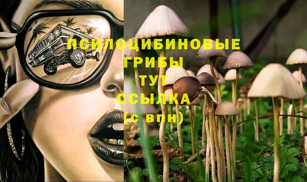тгк Алексин