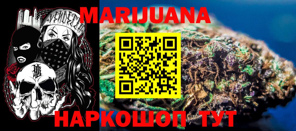 Каннабис сатива Петрозаводск